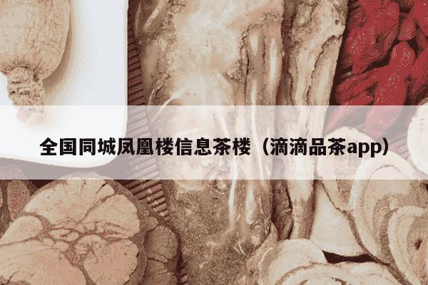 全国同城凤凰楼信息茶楼（滴滴品茶app）
