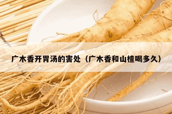 广木香开胃汤的害处（广木香和山楂喝多久）