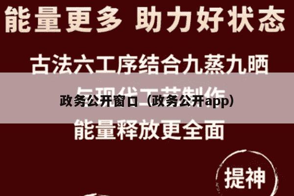 政务公开窗口（政务公开app）