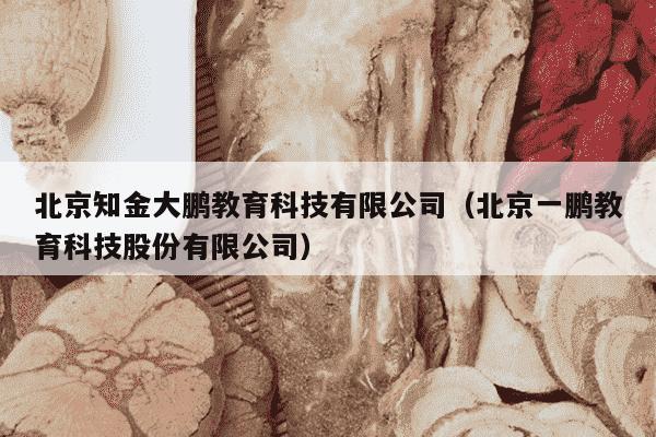 北京知金大鹏教育科技有限公司（北京一鹏教育科技股份有限公司）