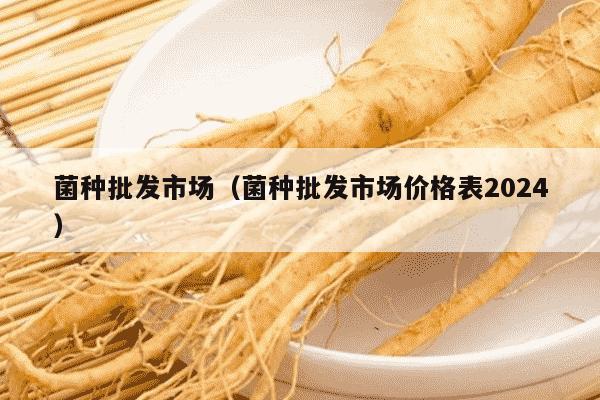 菌种批发市场（菌种批发市场价格表2024）