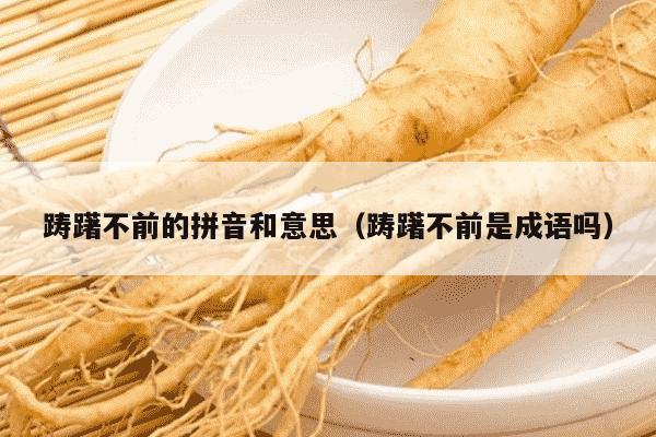 踌躇不前的拼音和意思（踌躇不前是成语吗）