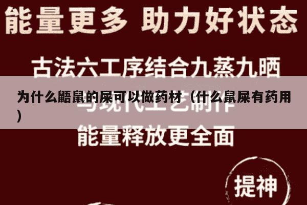 为什么鼯鼠的屎可以做药材（什么鼠屎有药用）