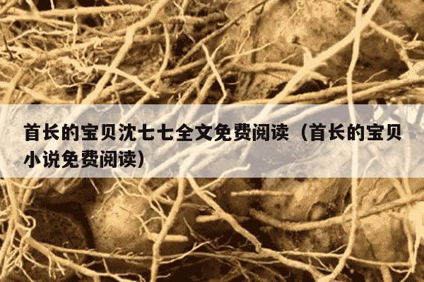 首长的宝贝沈七七全文免费阅读（首长的宝贝小说免费阅读）
