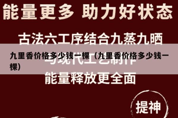 九里香价格多少钱一棵（九里香价格多少钱一棵）