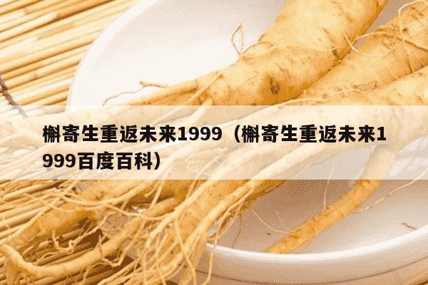 槲寄生重返未来1999（槲寄生重返未来1999百度百科）