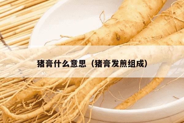 猪膏什么意思（猪膏发煎组成）
