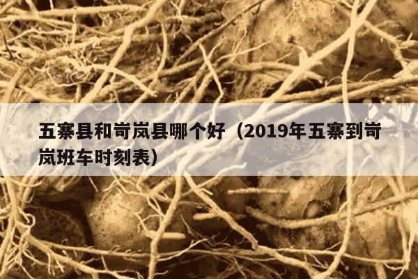 五寨县和岢岚县哪个好（2019年五寨到岢岚班车时刻表）