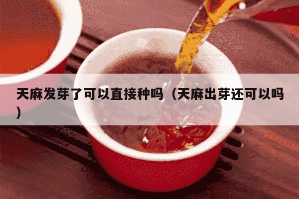 天麻发芽了可以直接种吗（天麻出芽还可以吗）