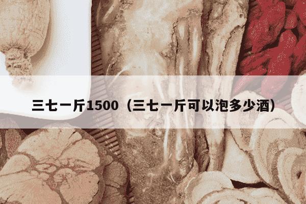 三七一斤1500（三七一斤可以泡多少酒）