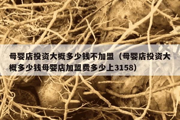 母婴店投资大概多少钱不加盟（母婴店投资大概多少钱母婴店加盟费多少上3158）