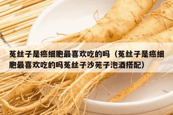 菟丝子是癌细胞最喜欢吃的吗（菟丝子是癌细胞最喜欢吃的吗菟丝子沙苑子泡酒搭配）