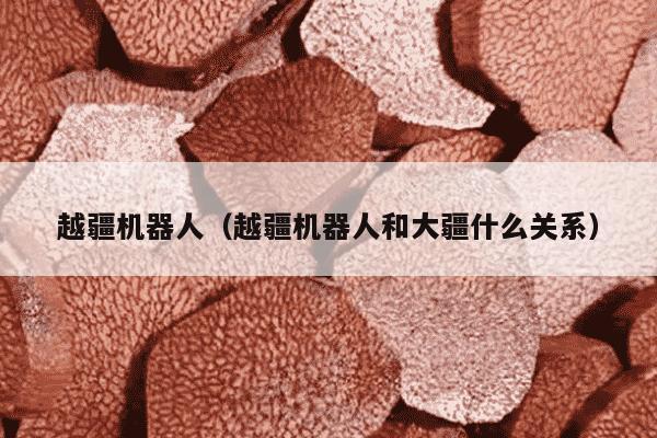 越疆机器人（越疆机器人和大疆什么关系）