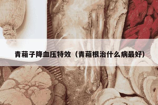 青葙子降血压特效（青葙根治什么病最好）