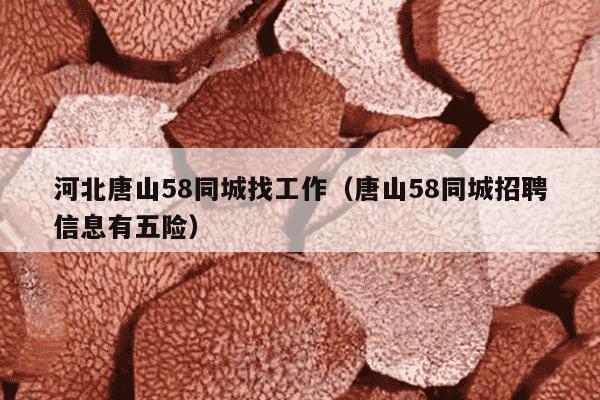河北唐山58同城找工作（唐山58同城招聘信息有五险）