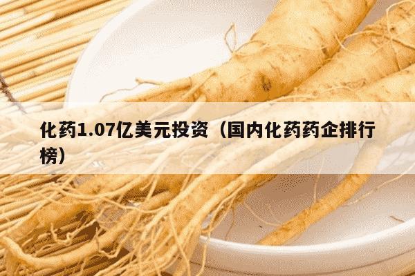 化药1.07亿美元投资（国内化药药企排行榜）