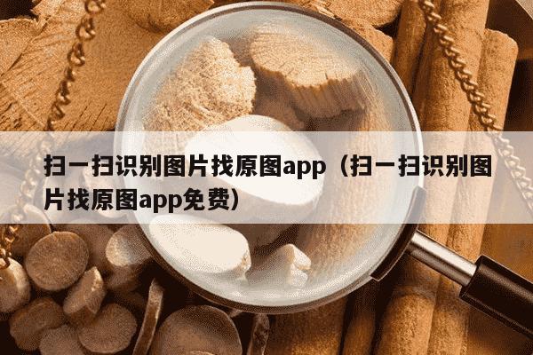 扫一扫识别图片找原图app（扫一扫识别图片找原图app免费）