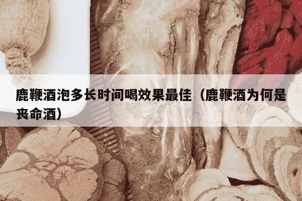 鹿鞭酒泡多长时间喝效果最佳（鹿鞭酒为何是丧命酒）