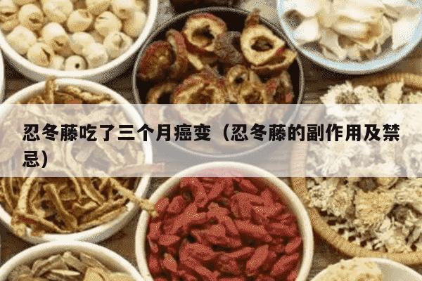 忍冬藤吃了三个月癌变（忍冬藤的副作用及禁忌）