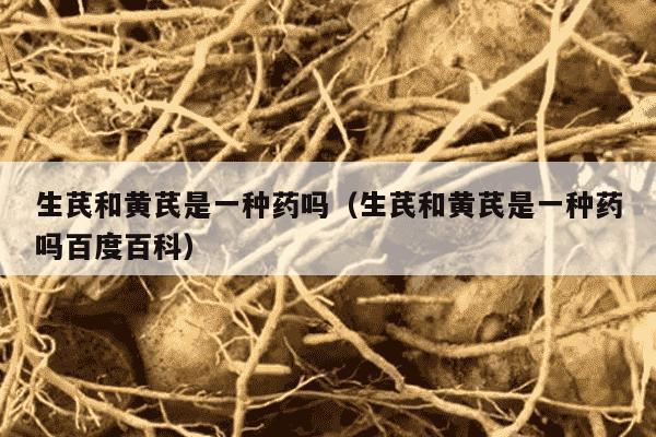 生芪和黄芪是一种药吗（生芪和黄芪是一种药吗百度百科）