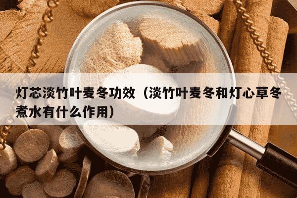 灯芯淡竹叶麦冬功效（淡竹叶麦冬和灯心草冬煮水有什么作用）