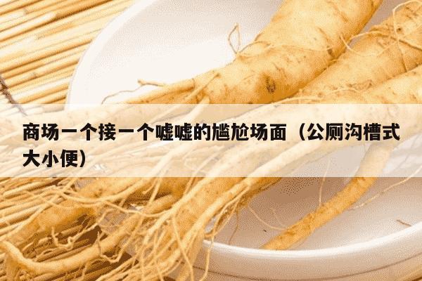 商场一个接一个嘘嘘的尴尬场面（公厕沟槽式大小便）
