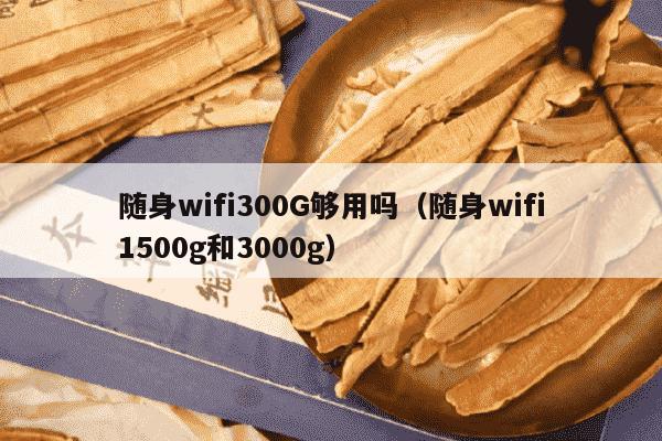 随身wifi300G够用吗（随身wifi1500g和3000g）