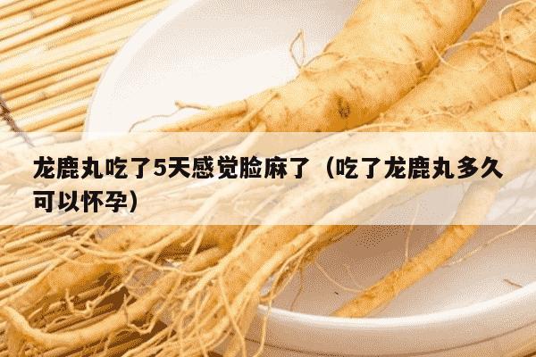 龙鹿丸吃了5天感觉脸麻了（吃了龙鹿丸多久可以怀孕）