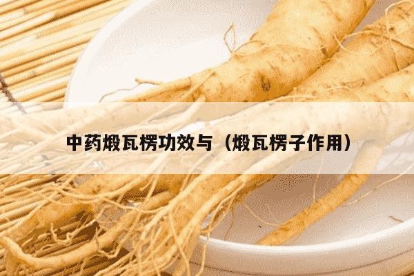 中药煅瓦楞功效与（煅瓦楞子作用）