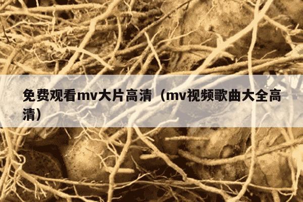免费观看mv大片高清（mv视频歌曲大全高清）