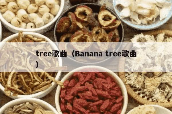 tree歌曲（Banana tree歌曲）