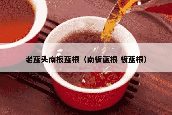 老蓝头南板蓝根（南板蓝根 板蓝根）