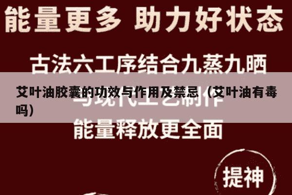 艾叶油胶囊的功效与作用及禁忌（艾叶油有毒吗）