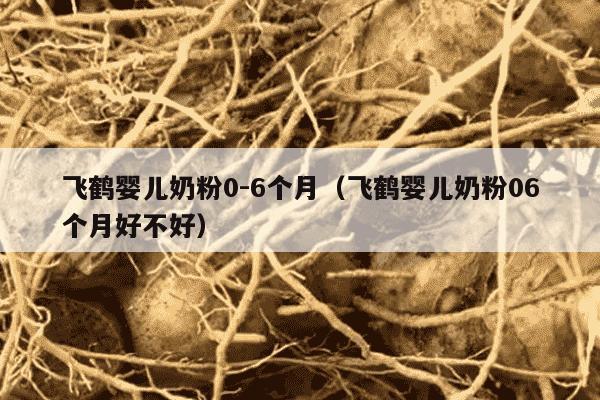 飞鹤婴儿奶粉0-6个月（飞鹤婴儿奶粉06个月好不好）