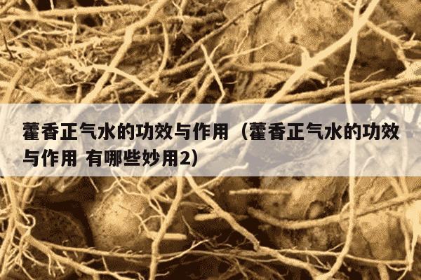 藿香正气水的功效与作用（藿香正气水的功效与作用 有哪些妙用2）