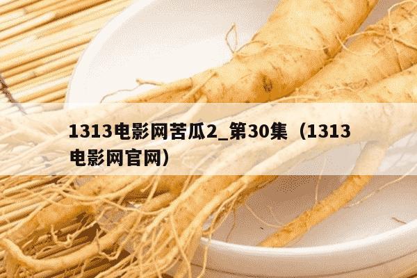 1313电影网苦瓜2_第30集（1313电影网官网）