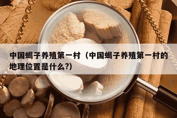 中国蝎子养殖第一村（中国蝎子养殖第一村的地理位置是什么?）