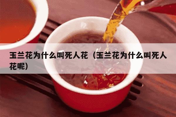 玉兰花为什么叫死人花（玉兰花为什么叫死人花呢）