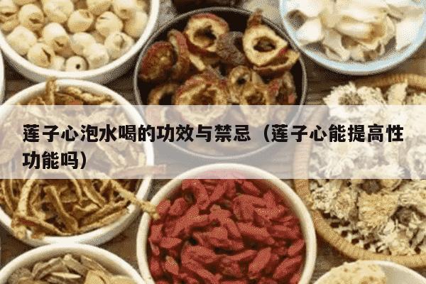 莲子心泡水喝的功效与禁忌（莲子心能提高性功能吗）