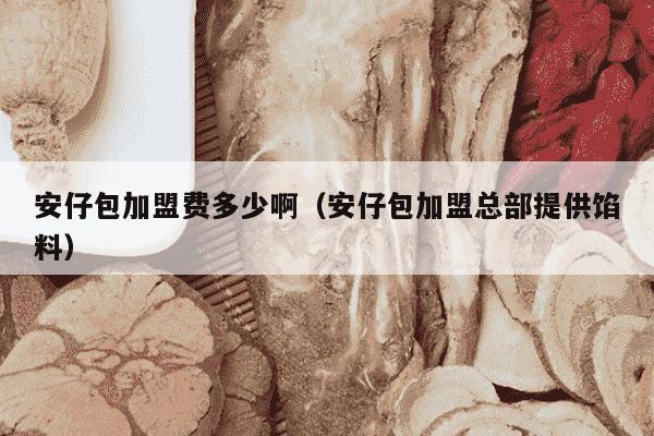 安仔包加盟费多少啊（安仔包加盟总部提供馅料）