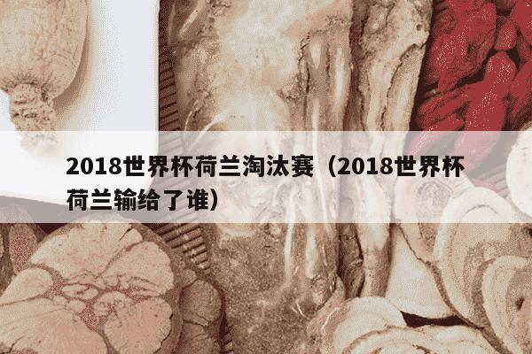 2018世界杯荷兰淘汰赛（2018世界杯荷兰输给了谁）