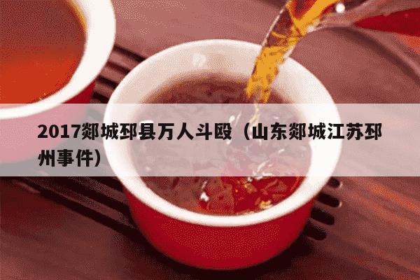2017郯城邳县万人斗殴（山东郯城江苏邳州事件）