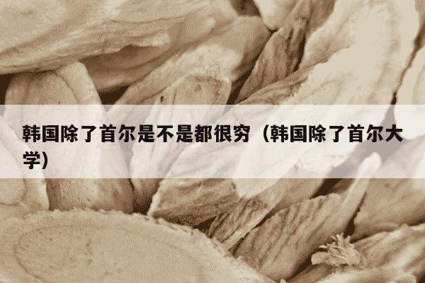 韩国除了首尔是不是都很穷（韩国除了首尔大学）