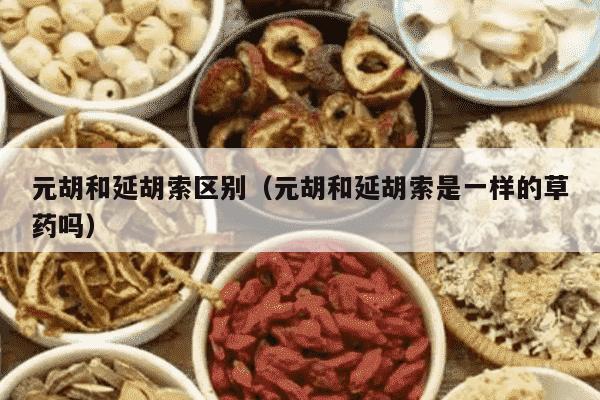 元胡和延胡索区别（元胡和延胡索是一样的草药吗）
