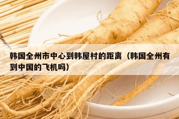 韩国全州市中心到韩屋村的距离（韩国全州有到中国的飞机吗）
