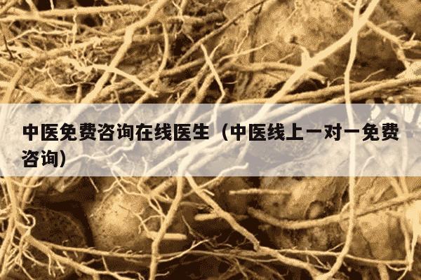 中医免费咨询在线医生（中医线上一对一免费咨询）