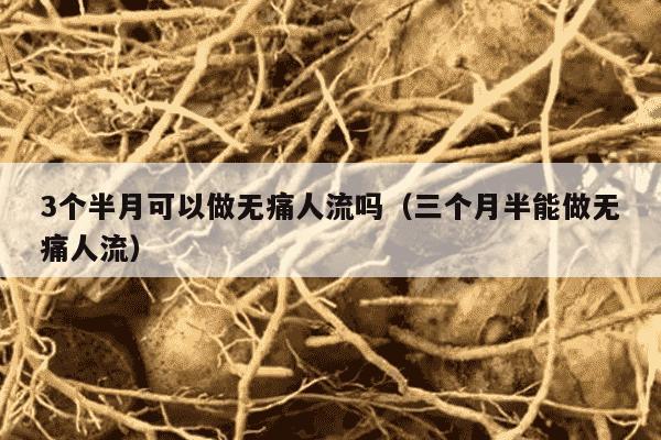 3个半月可以做无痛人流吗（三个月半能做无痛人流）