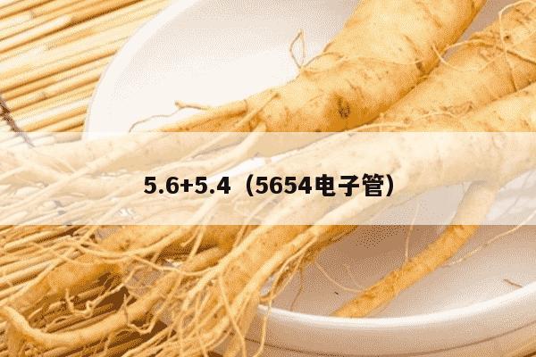 5.6+5.4（5654电子管）