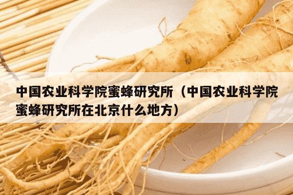 中国农业科学院蜜蜂研究所（中国农业科学院蜜蜂研究所在北京什么地方）