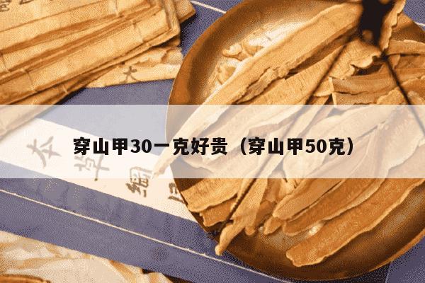 穿山甲30一克好贵（穿山甲50克）